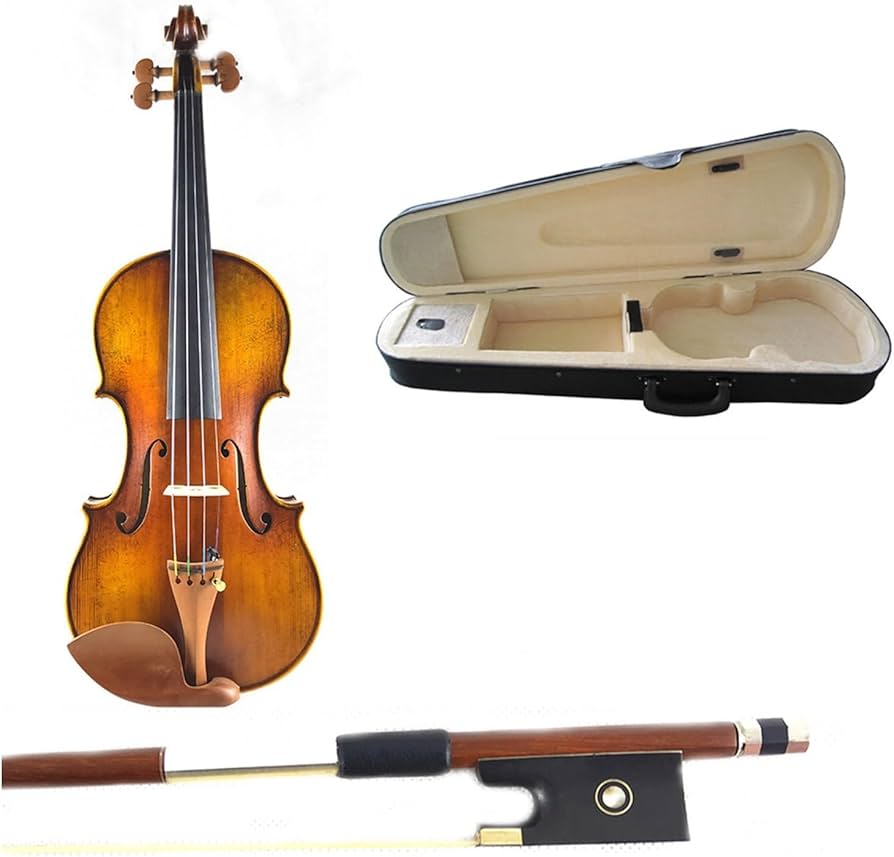 Violin student pro